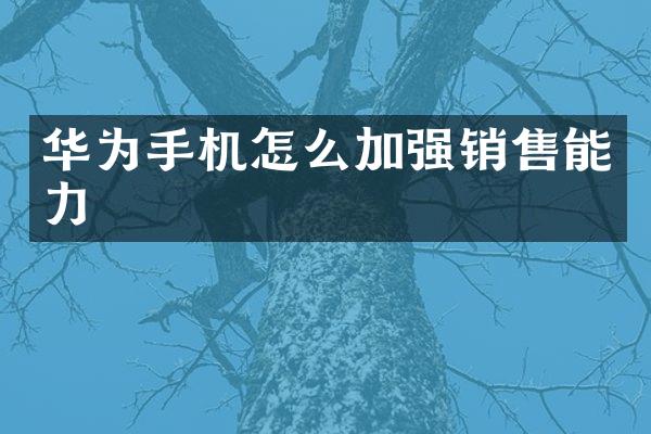华为手机怎么加强销售能力