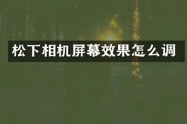 相机屏幕效果怎么调