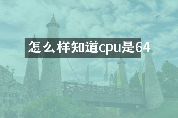 怎么样知道cpu是64