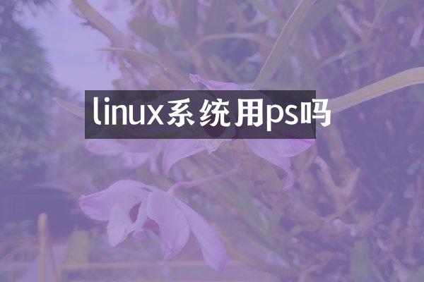 linux系统用ps吗