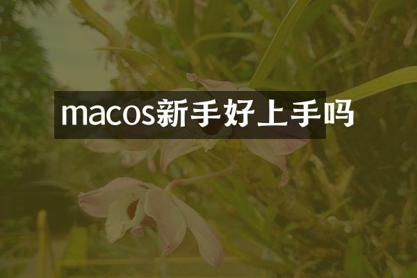 macos新手好上手吗