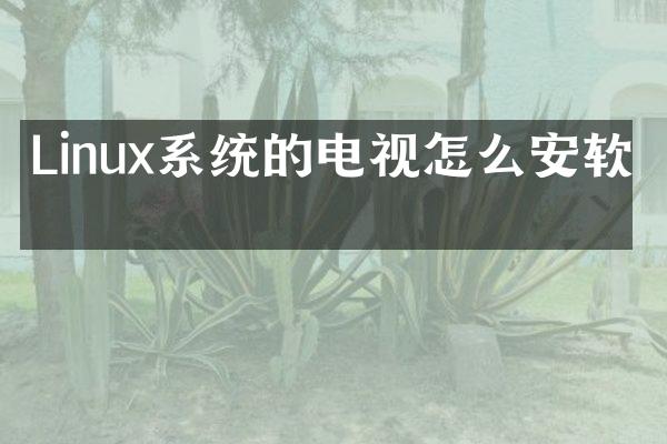 Linux系统的电视怎么安软件