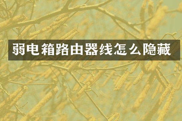 弱电箱路由器线怎么隐藏