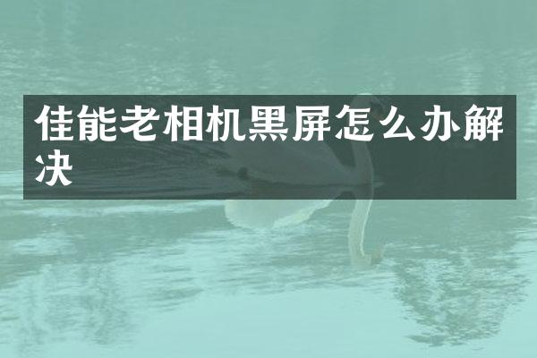 佳能老相机黑屏怎么办解决