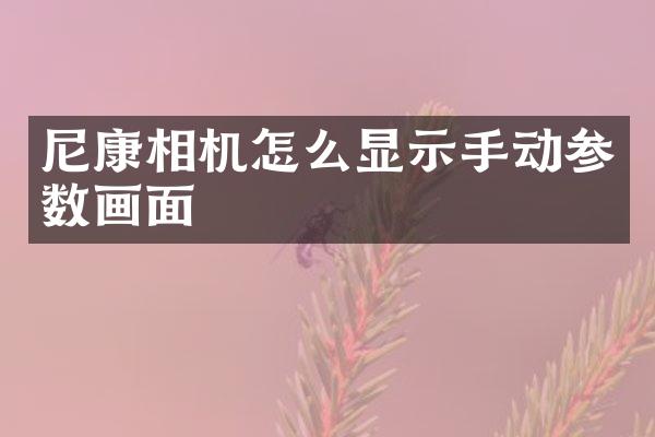 尼康相机怎么显示手动参数画面