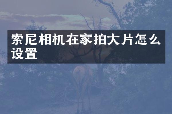 相机在家拍大片怎么设置