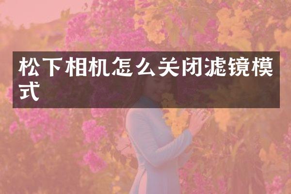 相机怎么关闭滤镜模式