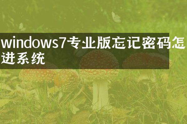 windows7专业版忘记密码怎么进系统
