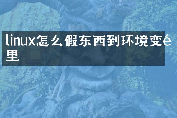 linux怎么假东西到环境变量里