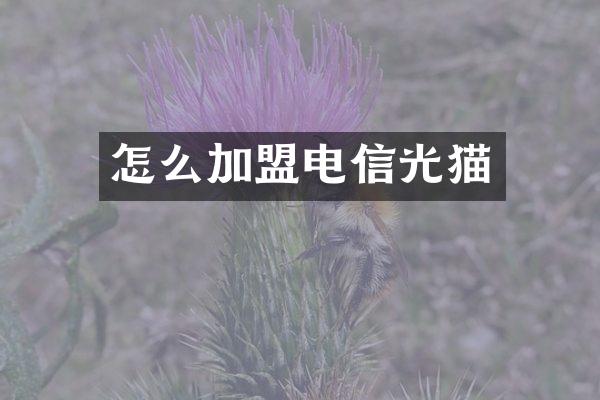 怎么加盟电信光猫