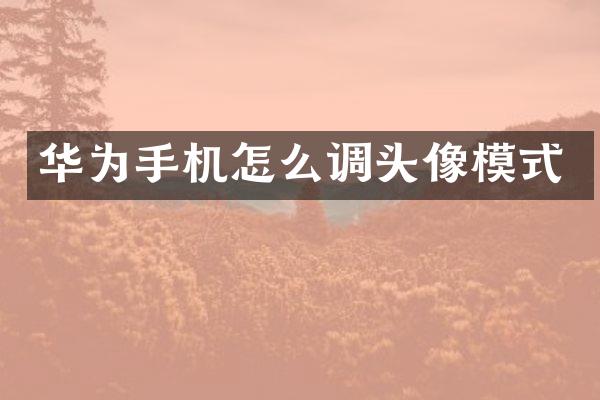 华为手机怎么调头像模式
