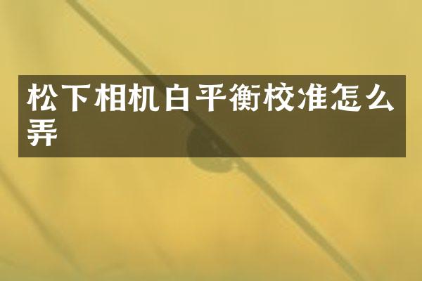 相机白平衡校准怎么弄