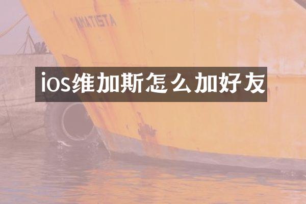 ios维加斯怎么加好友