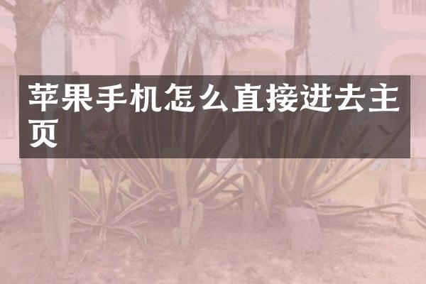 苹果手机怎么直接进去主页