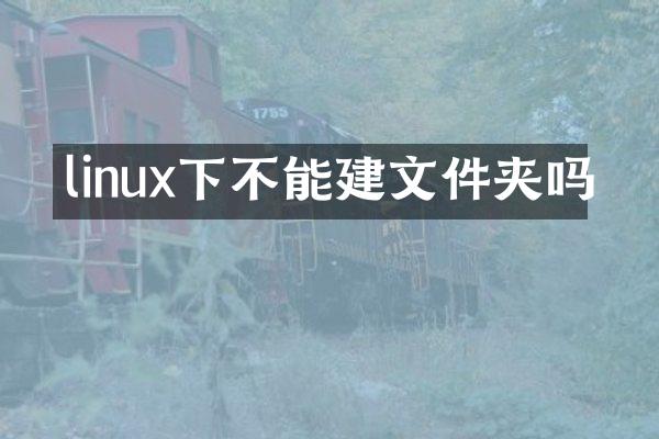 linux下不能建文件夹吗