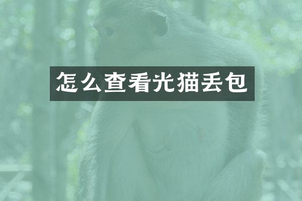 怎么查看光猫丢包