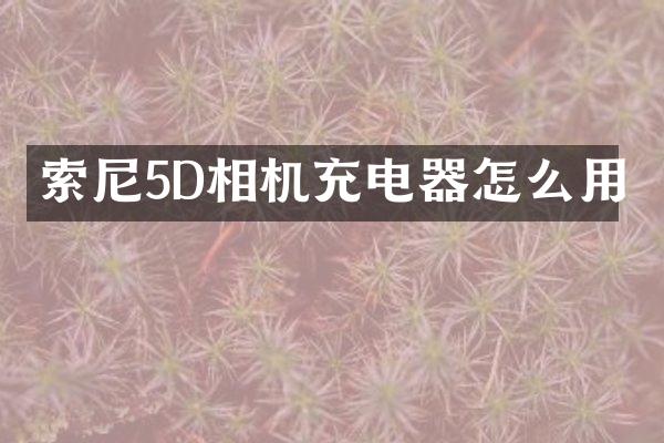 5D相机充电器怎么用