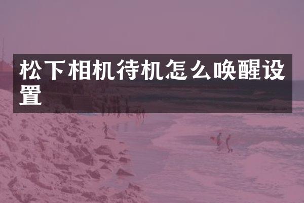 相机待机怎么唤醒设置