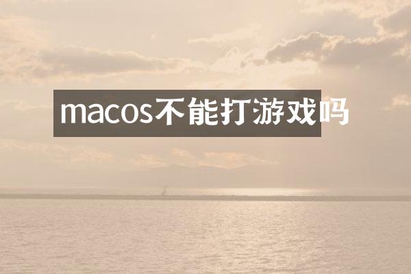 macos不能打游戏吗