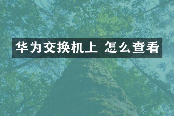 华为交换机上 怎么查看