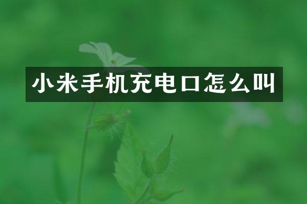 小米手机充电口怎么叫