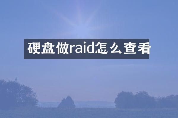 硬盘做raid怎么查看