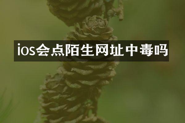 ios会点陌生网址中毒吗