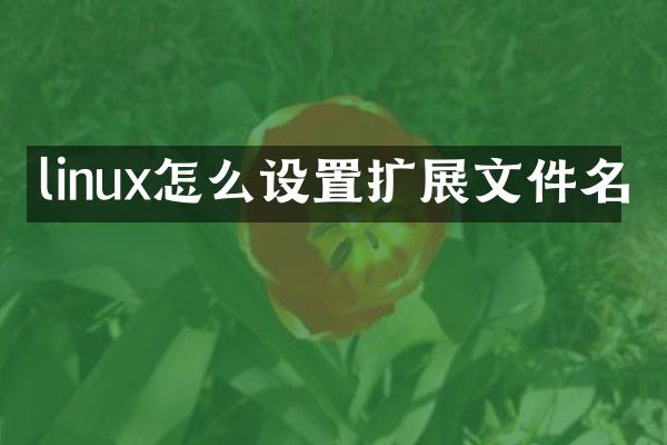 linux怎么设置扩展文件名