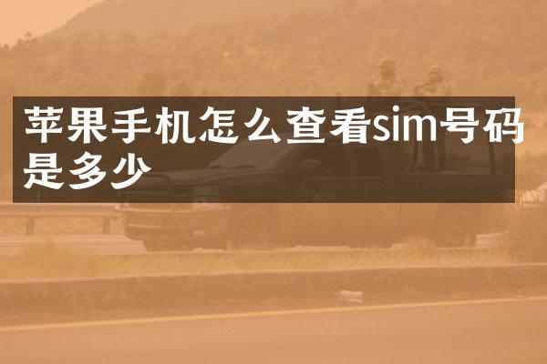 苹果手机怎么查看sim号码是多少
