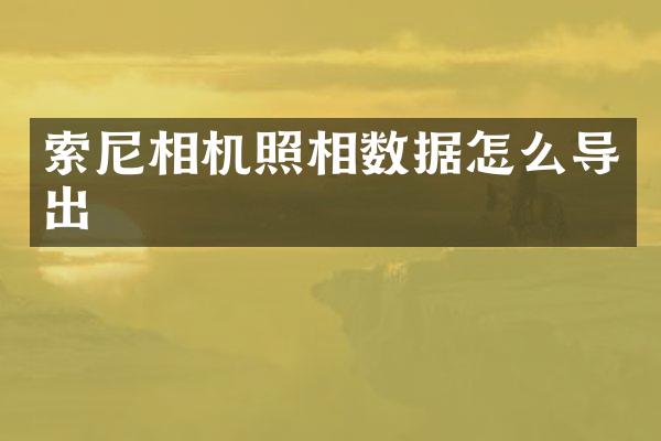 相机照相数据怎么导出