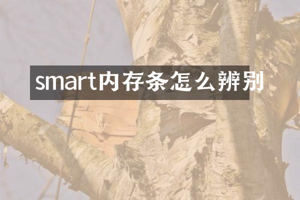 smart内存条怎么辨别