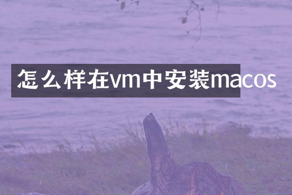 怎么样在vm中安装macos