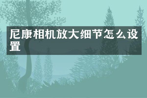 尼康相机放大细节怎么设置