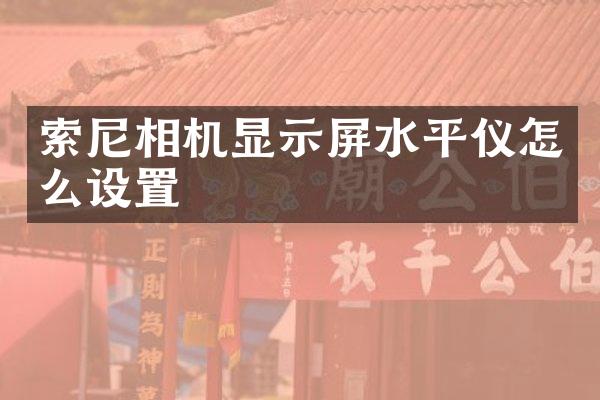 相机显示屏水平仪怎么设置