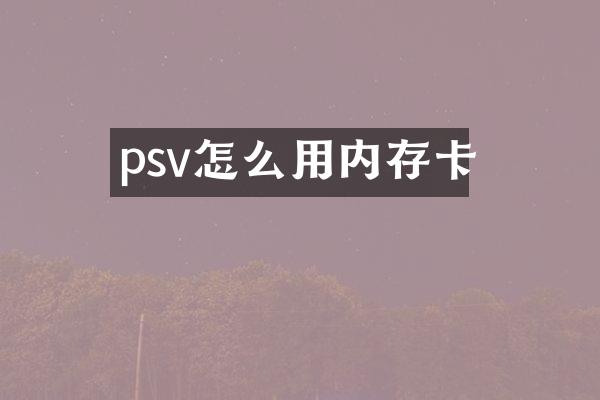 psv怎么用内存卡