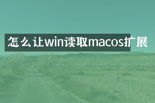 怎么让win读取macos扩展