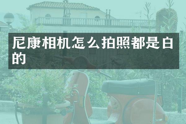 尼康相机怎么拍照都是白的