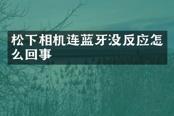 相机连蓝牙没反应怎么回事