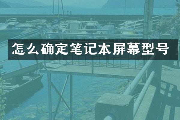怎么确定笔记本屏幕型号