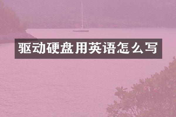驱动硬盘用英语怎么写