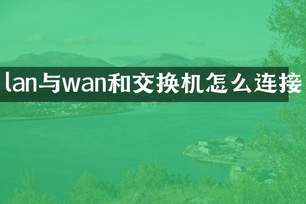 lan与wan和交换机怎么连接