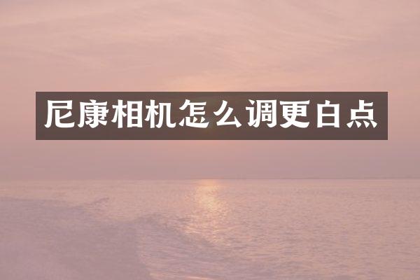 尼康相机怎么调更白点