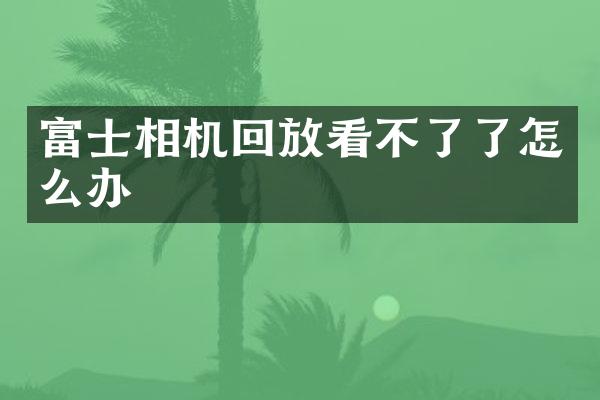 富士相机回放看不了了怎么办