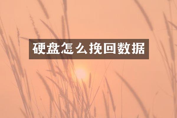 硬盘怎么挽回数据