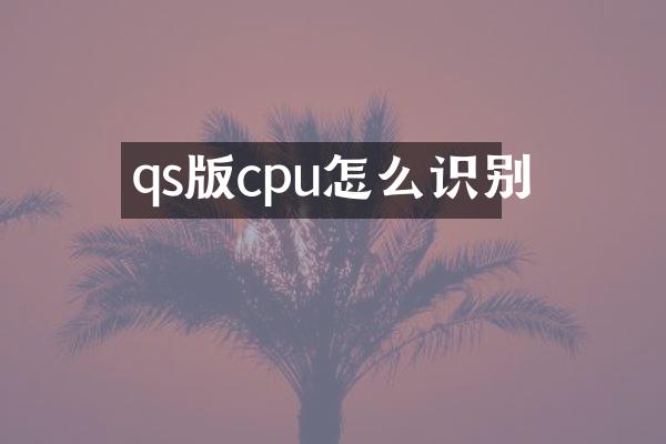 qs版cpu怎么识别