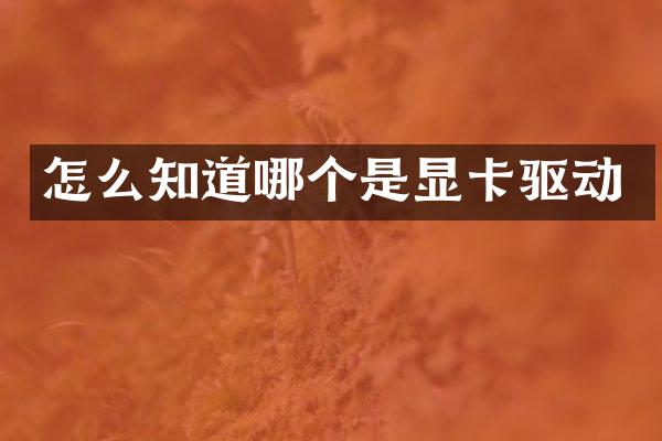 怎么知道哪个是显卡驱动