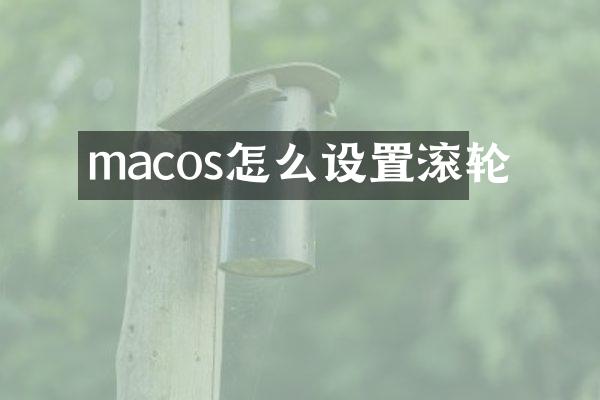 macos怎么设置滚轮