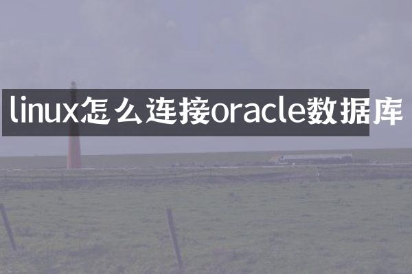 linux怎么连接oracle数据库