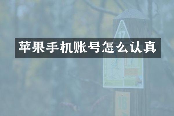 苹果手机账号怎么认真
