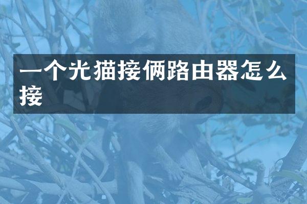 一个光猫接俩路由器怎么接